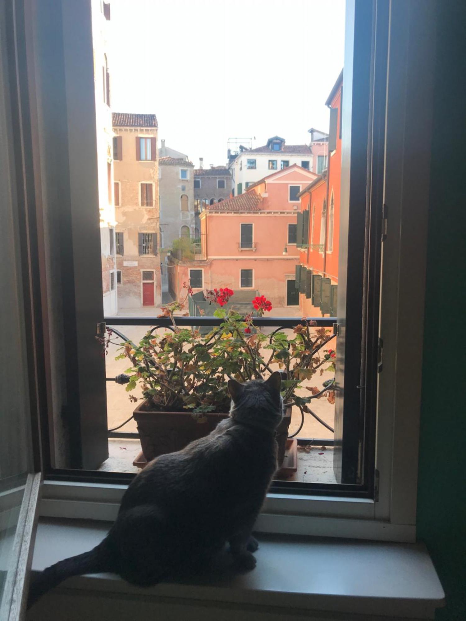Albrizzi Charme Apartment Venedig Exterior foto